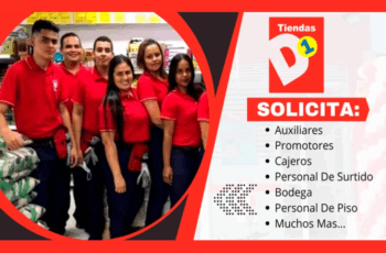 D1 tiene vacantes para ti – ¡Aplica y trabaja con nosotros!